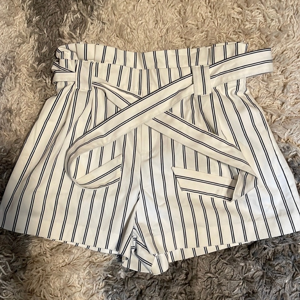 Zara shorts